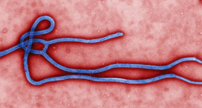 Guinea records three new cases of Ebola