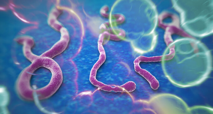 8 things you need to know about Ebola