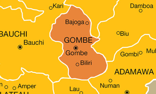 Female bomber kills 5 in Gombe