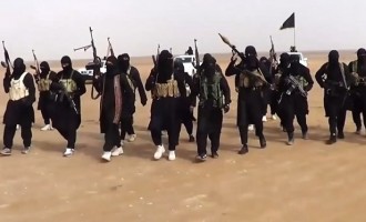 ISIS ‘loses most of Iraqi territories’ it controlled for years
