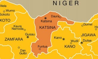 Police: 198 arms recovered from herdsmen, rustlers in Katsina