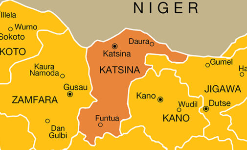 12 farmers killed as gunmen attack Katsina community