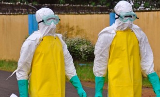 ZMapp fails to save Liberian doctor
