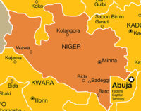 Gunmen kill 35 in 2-hour raid on Niger village