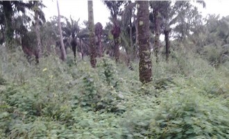4 years on, proposed Okwaraji mini-sports centre still a dream