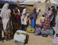 Nigerian troops ‘kill 17 terrorists’ in Doron Baga