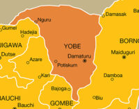 One dead, six injured as police foil suicide bomb attack in Yobe
