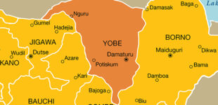 Yobe denies reports of strange disease in two LGAs