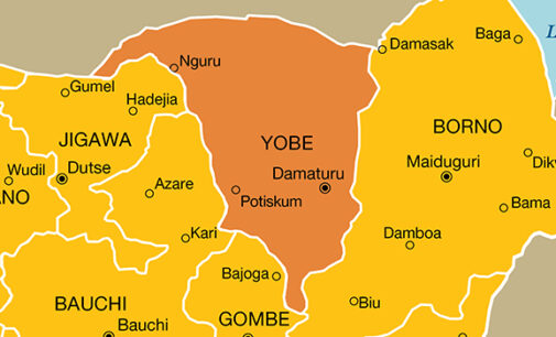 Female suicide bomber ‘kills 10’ in Yobe