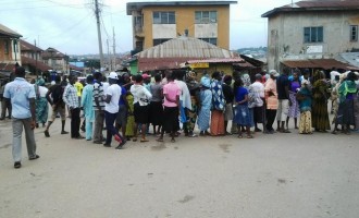 Election must not be postponed, APC warns council of state