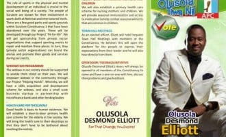 Will Desmond Elliot, Kate Henshaw, 9ice… win in 2015?