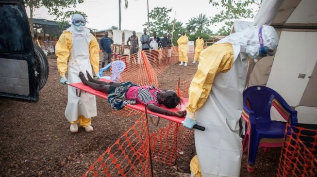 WHO predicts rapid Ebola rise in Liberia