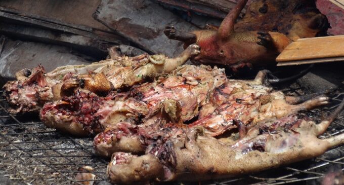 Ebola: Bush meat business picks up in Kwara