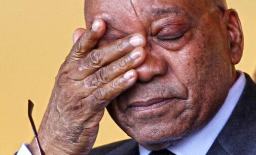 ANC ‘may force’ Zuma to resign