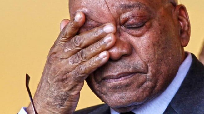 ANC ‘may force’ Zuma to resign