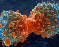 Scientists find new tool to fight cancer