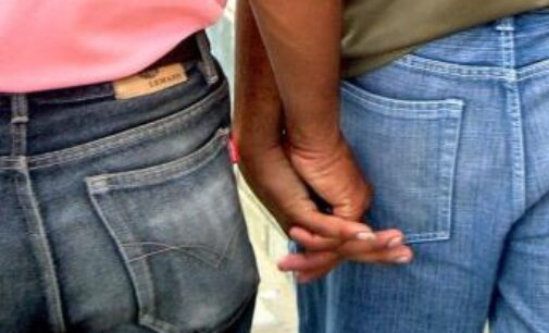 Homosexuality not genetically determined, says study