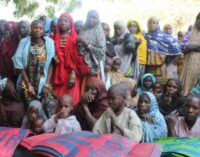 ‘40,000 Nigerians’ seeking asylum in Cameroon