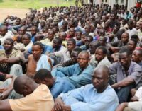 Army frees 125 Boko Haram suspects