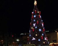 World’s biggest Christmas tree