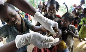 FG to make malaria elimination national priority