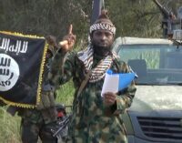 I am alive and in control, says Shekau
