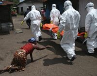 To fight Ebola, Lassa fever ECOWAS to adopt ‘one health’ approach