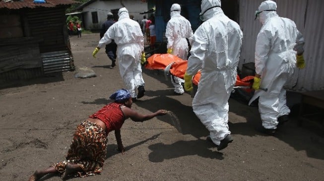 IMF to blame for health gaps in ‘Ebola nations’