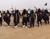 Islamic State: We burnt military barracks and killed 10 soldiers in Borno