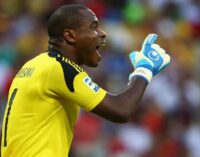 Enyeama: I won’t take a pay cut to play in England