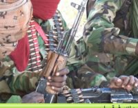 Boko Haram ‘massing up’ in training camps