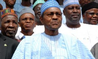 Which is hurting more: Corruption or collateral damage from fighting it?