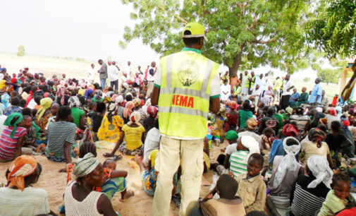 Adamawa IDP camps afflicted by measles outbreak