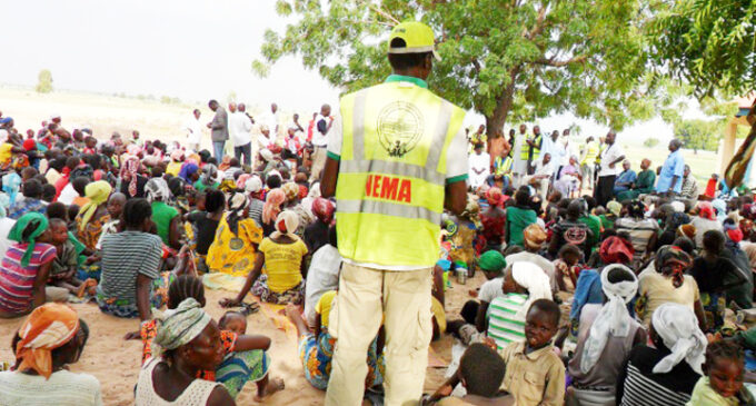 ALERT: 40 ‘fake’ NGOs exploiting IDPs in Borno