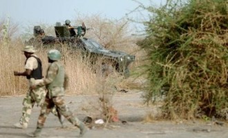 Soldiers kill 11cattle rustlers in Katsina