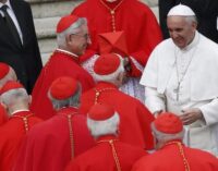 Pope Francis names 20 new cardinals