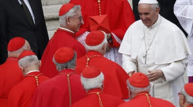 Pope Francis names 20 new cardinals