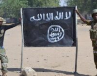 Boko Haram kills soldiers, policemen, four UN aid workers in Borno (updated)