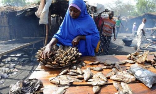 Boko Haram: Borno hit by ‘unprecedented fish shortage’
