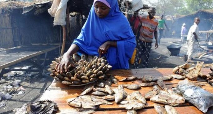 Boko Haram: Borno hit by ‘unprecedented fish shortage’