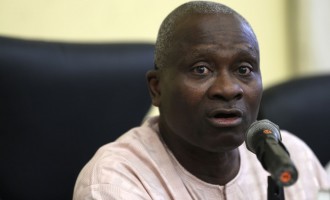 Bird flu: Avoid contact with birds, Lagos govt warns