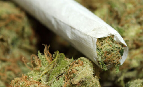Alaska legalises private use of marijuana