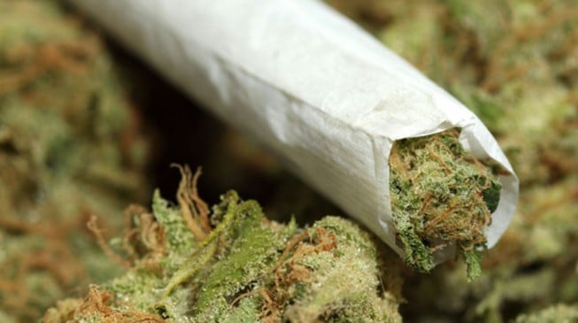 Alaska legalises private use of marijuana