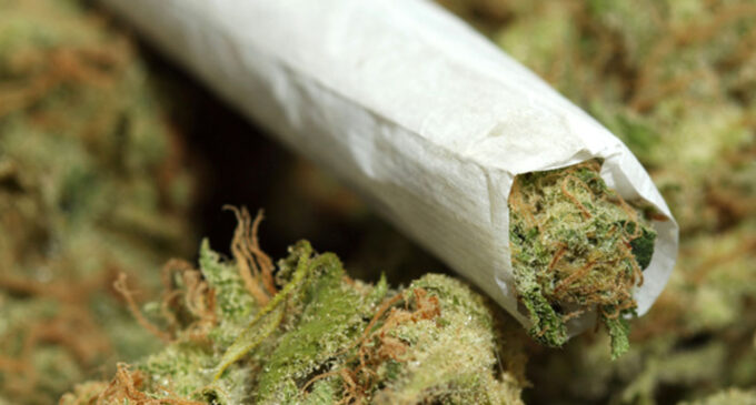 Alaska legalises private use of marijuana