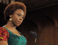 Chimamanda Adichie: Election is not a literary contest