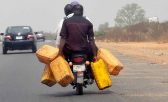 Fuel scarcity ’caused by looting of $12bn domestic gas fund’
