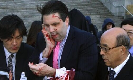 US ambassador, Lipert, bloodied by blade-wielding activist