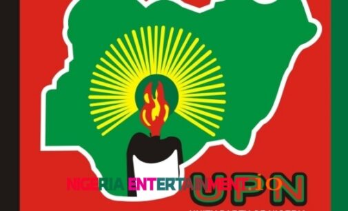 UPN presidential candidate, Godswill, sues INEC‎