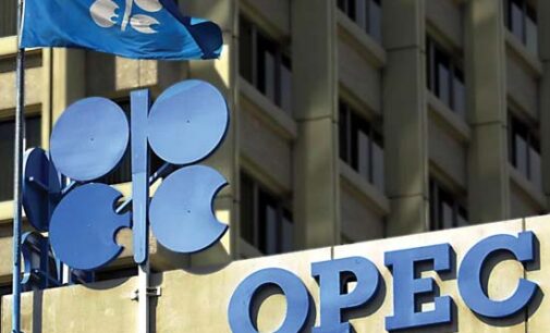 OPEC oil output climbs to highest since 2012