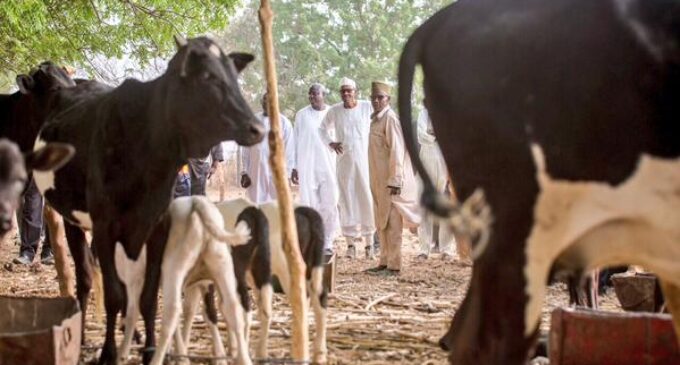 Buhari visits his Katsina farm